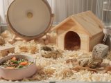 découvrez nos conseils pratiques pour aménager une cage confortable et sécurisée pour votre petit rongeur, favorisant son bien-être et son bonheur au quotidien.