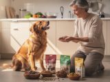 découvrez comment choisir les croquettes adaptées aux besoins de votre chien pour sa santé et son bien-être.