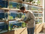 Comment choisir un aquarium pour débutant ?