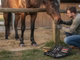 Comment prendre soin des sabots d’un cheval ?