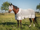 Comment protéger un cheval des mouches ?