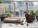 Comment sécuriser un balcon pour un chat ?