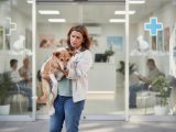 Quand emmener son chien chez le vétérinaire ?