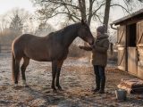 Comment préparer un cheval à l’hiver ?