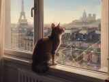 La fois où Charly a tenté de comprendre le métro parisien depuis la fenêtre