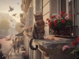 Les aventures d’un chat parisien face au bruit de la ville