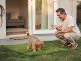 Comment apprendre la propreté à un chiot ?