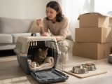 Comment préparer son chat avant un déménagement ?