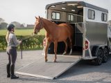 Comment transporter un cheval en toute sécurité ?